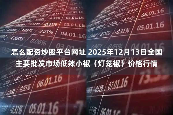 怎么配资炒股平台网址 2025年12月13日全国主要批发市场低辣小椒（灯笼椒）价格行情