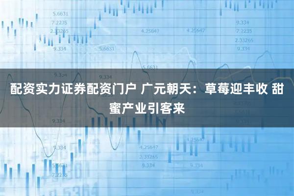 配资实力证券配资门户 广元朝天：草莓迎丰收 甜蜜产业引客来