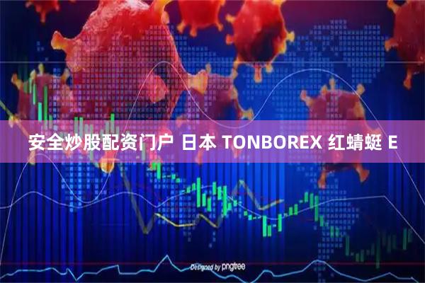 安全炒股配资门户 日本 TONBOREX 红蜻蜓 E