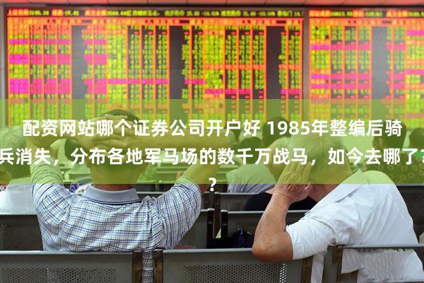 配资网站哪个证券公司开户好 1985年整编后骑兵消失，分布各地军马场的数千万战马，如今去哪了？